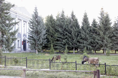 _MG_2834.jpg