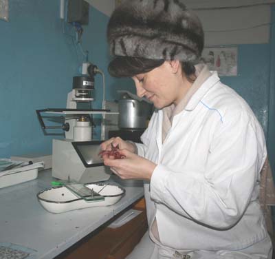 IMG_6976.jpg