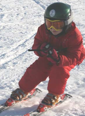 IMG_8287.jpg