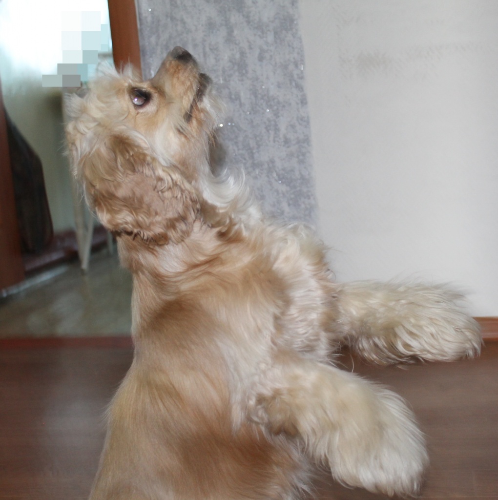 Изображение 039.jpg