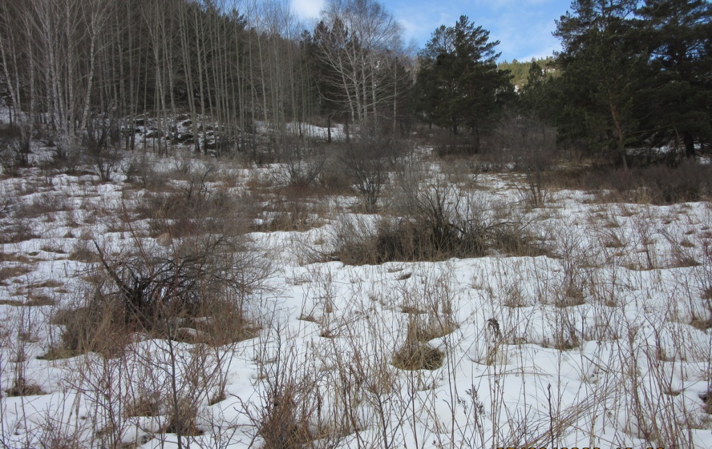 Слукин А (10).JPG