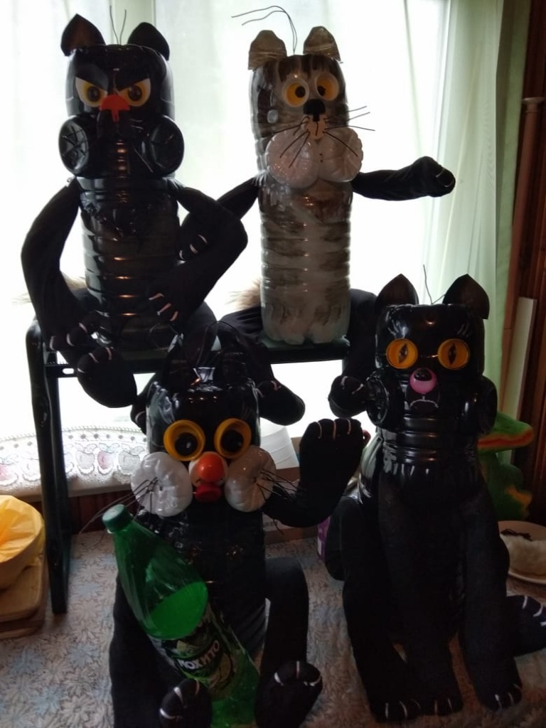 IMG-20191105-WA0007.jpg IMG-20191105-WA0007.jpg