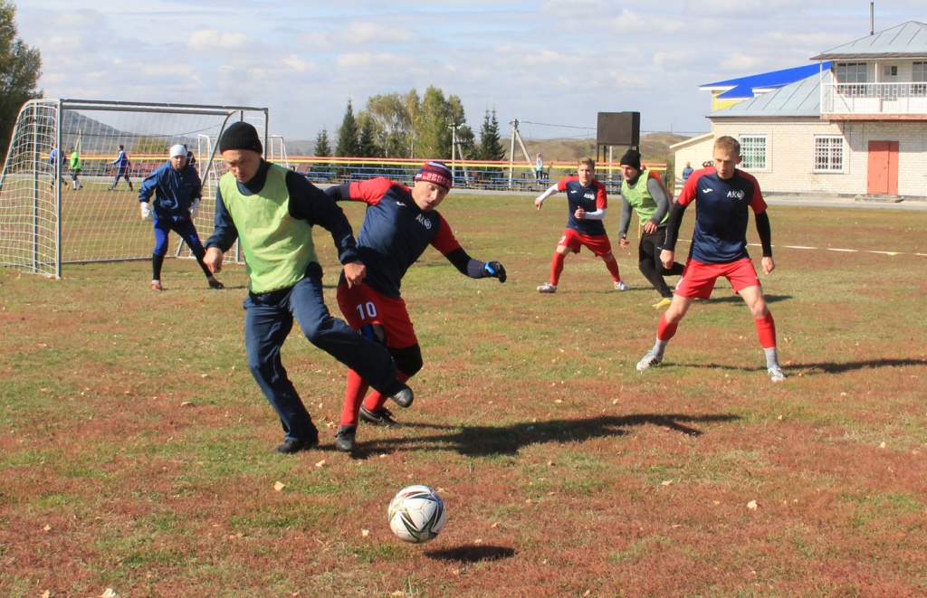 IMG_8478.jpg IMG_8478.jpg
