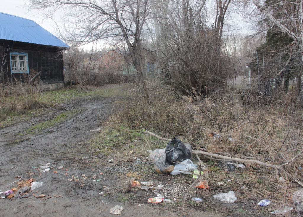 ломоносова возле школы 1.jpg ломоносова возле школы 1.jpg