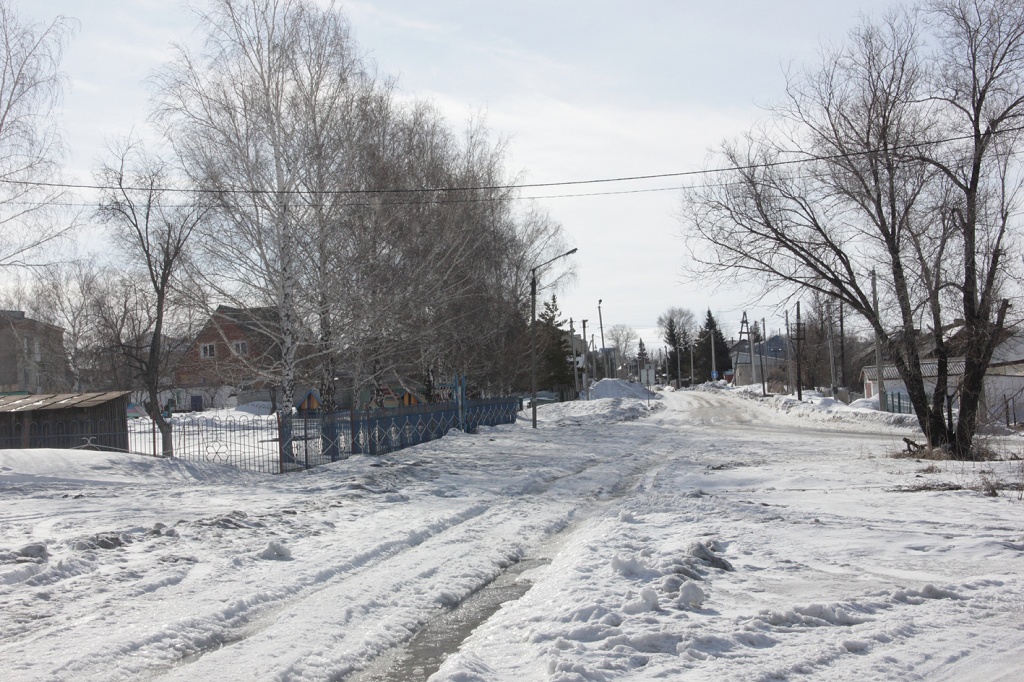 ломоносова у детсада.jpg