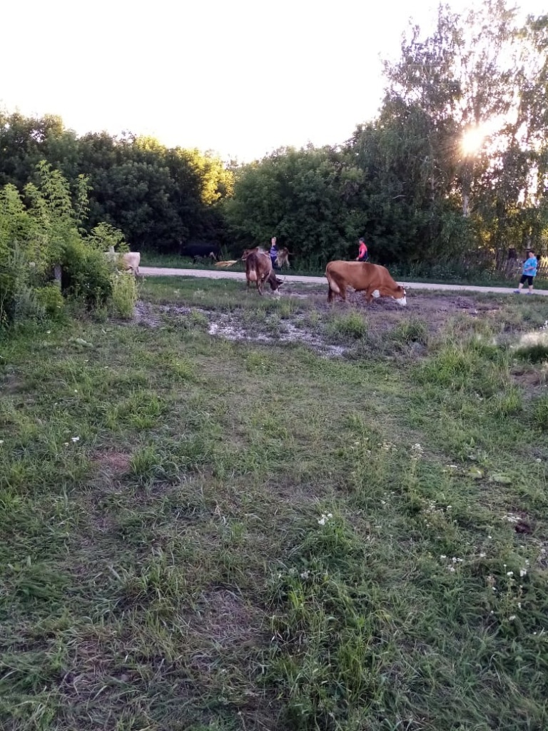 e97a3242-d8ac-4da4-b780-5d6d81148a2c.JPG