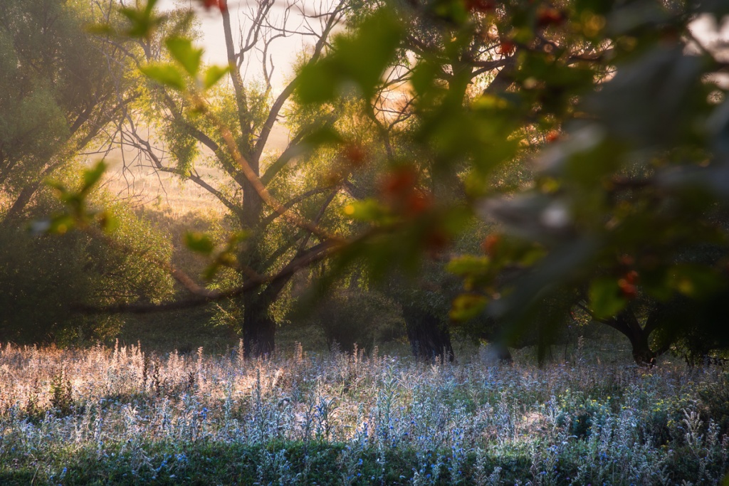 Фото Соломахин Денис (3).jpg