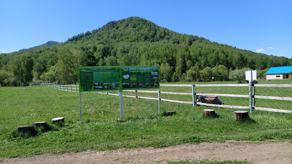 Фото Д. Соломахин стенд.jpg