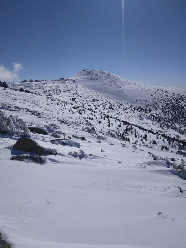 Фото Касуров Д (7).jpg