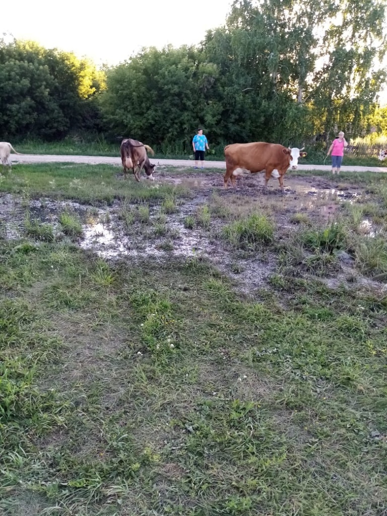 9ab49f15-b9cf-42e8-9d02-d75a56597c42.JPG