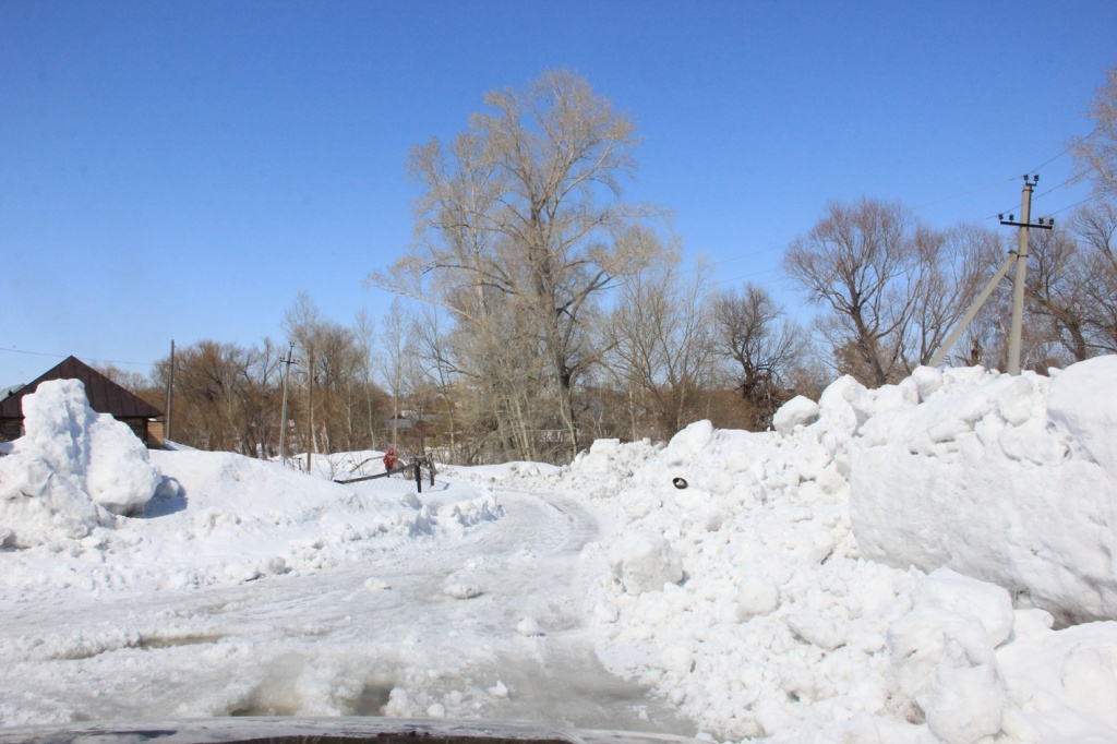 Максима Горького еще.jpg