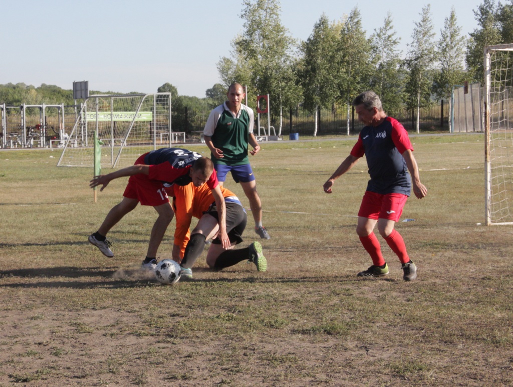 IMG_8652.jpg IMG_8652.jpg