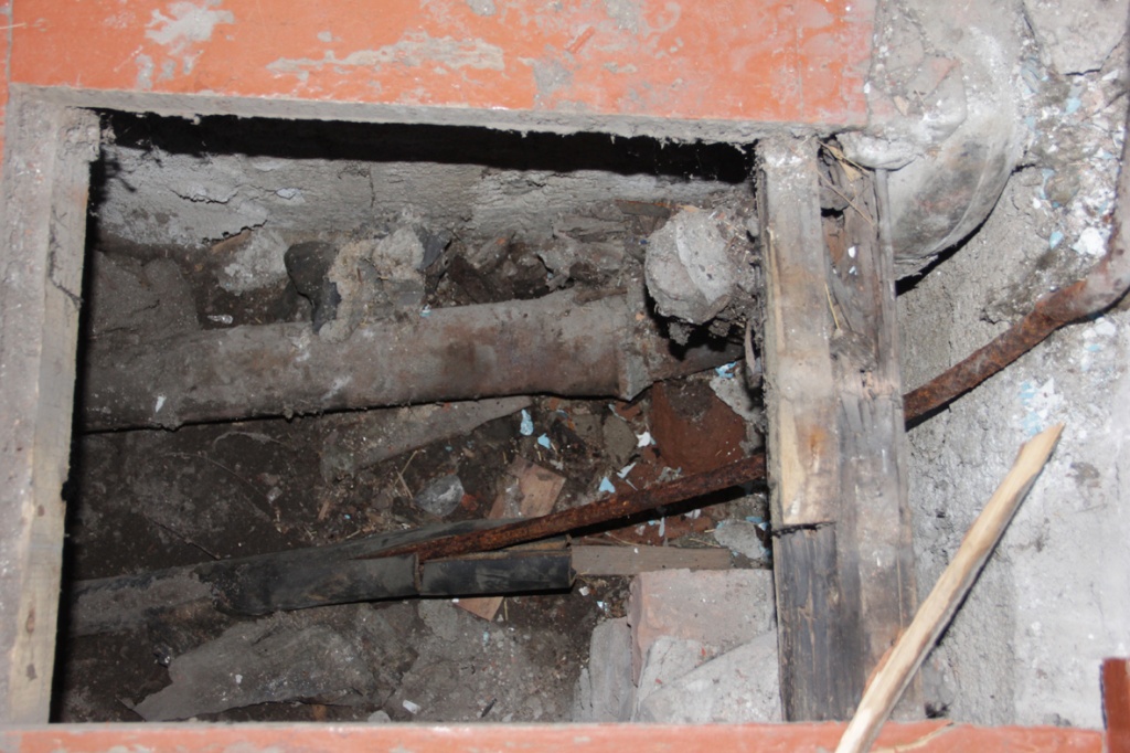 Волкова еще.jpg