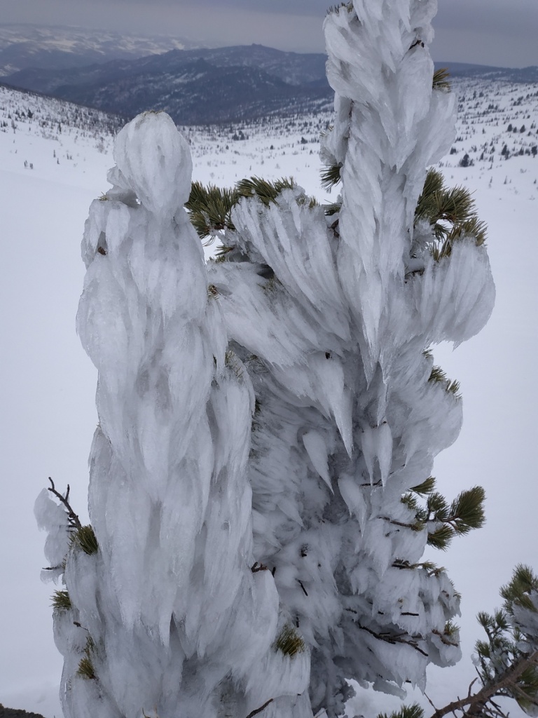 Фото Касуров Д (1).jpg