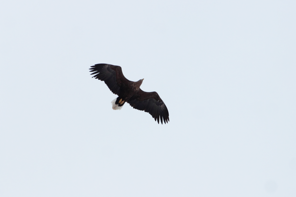 Агафотнова С (17).png Агафотнова С (17).png