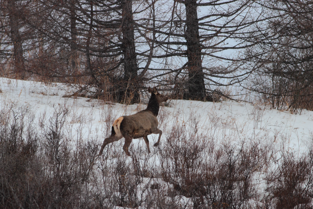 Агафотнова С (40).png