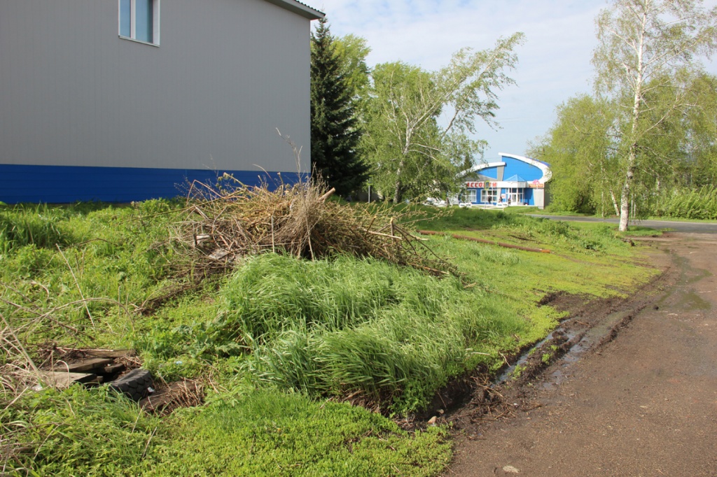 IMG_7972.jpg IMG_7972.jpg