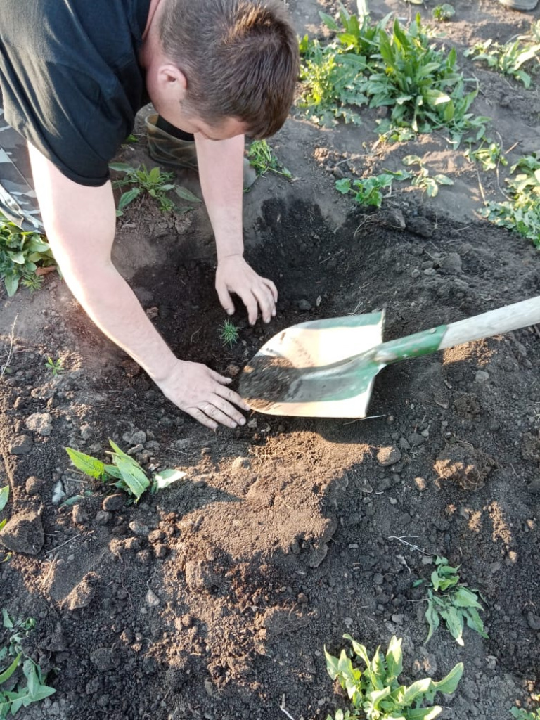 WhatsApp Image 2023-05-06 at 21.11.18.jpeg