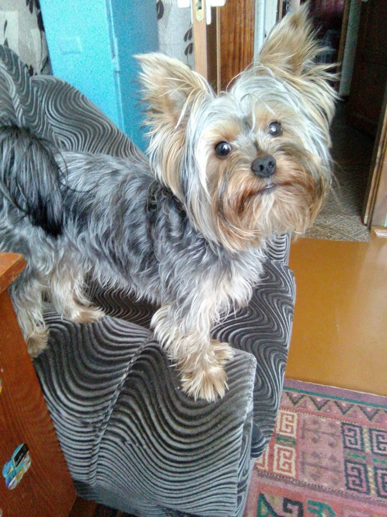 Надежда Нарожнова 2.jpg