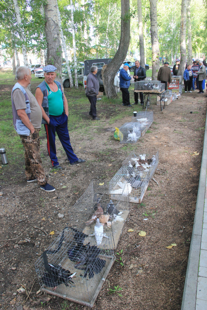 WhatsApp Image 2023-08-20 at 17.07.01.jpeg