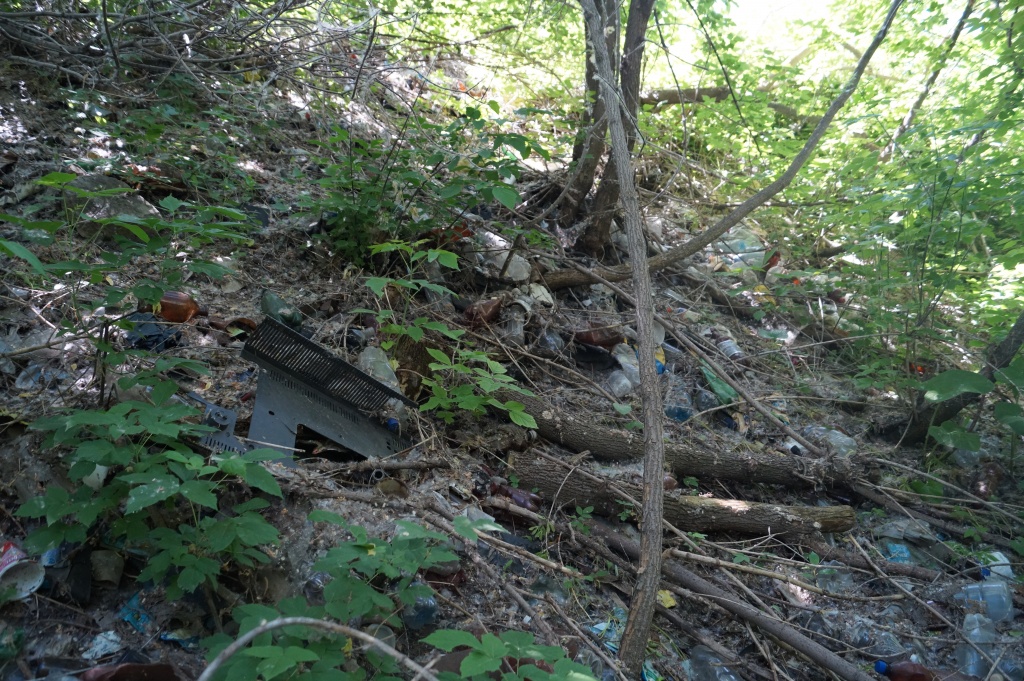 DSC01125.JPG