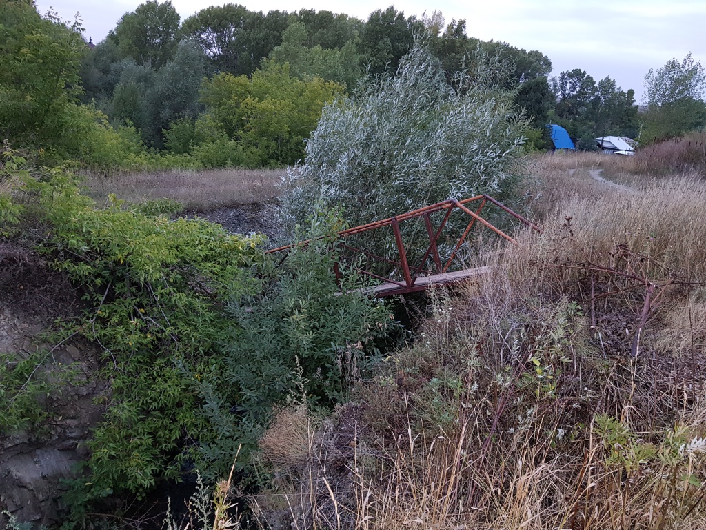 20180822_203524.jpg