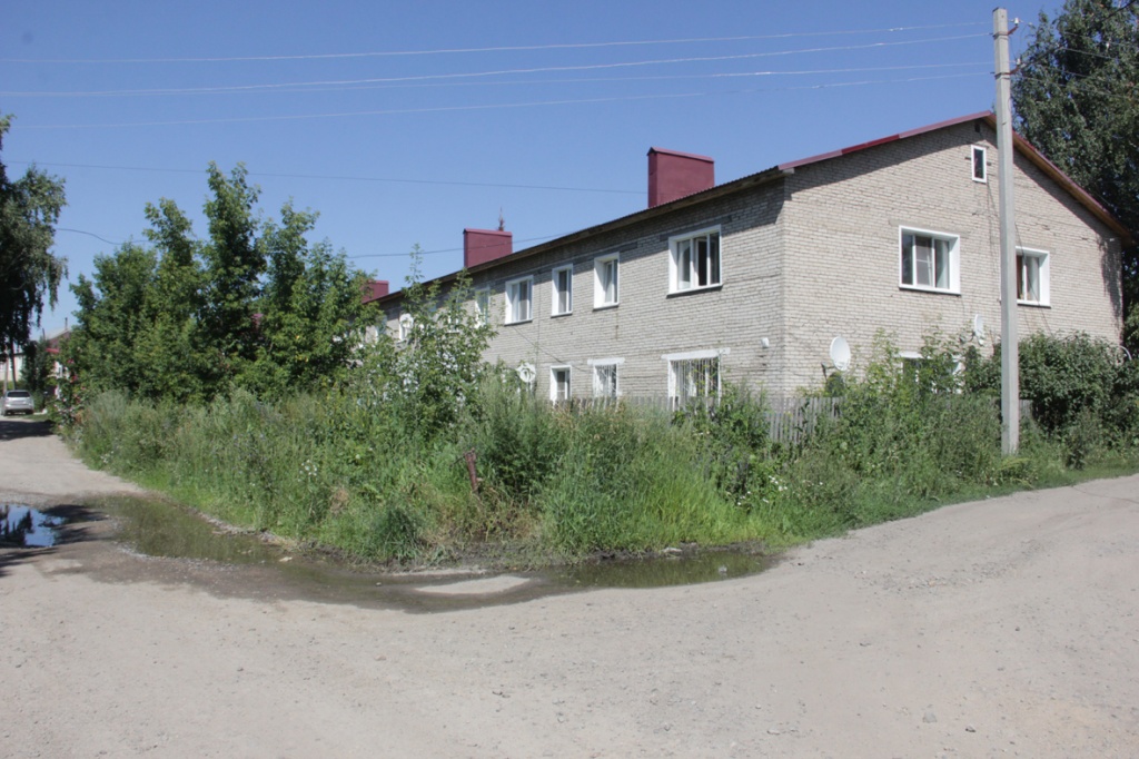 мамонтова 4.jpg