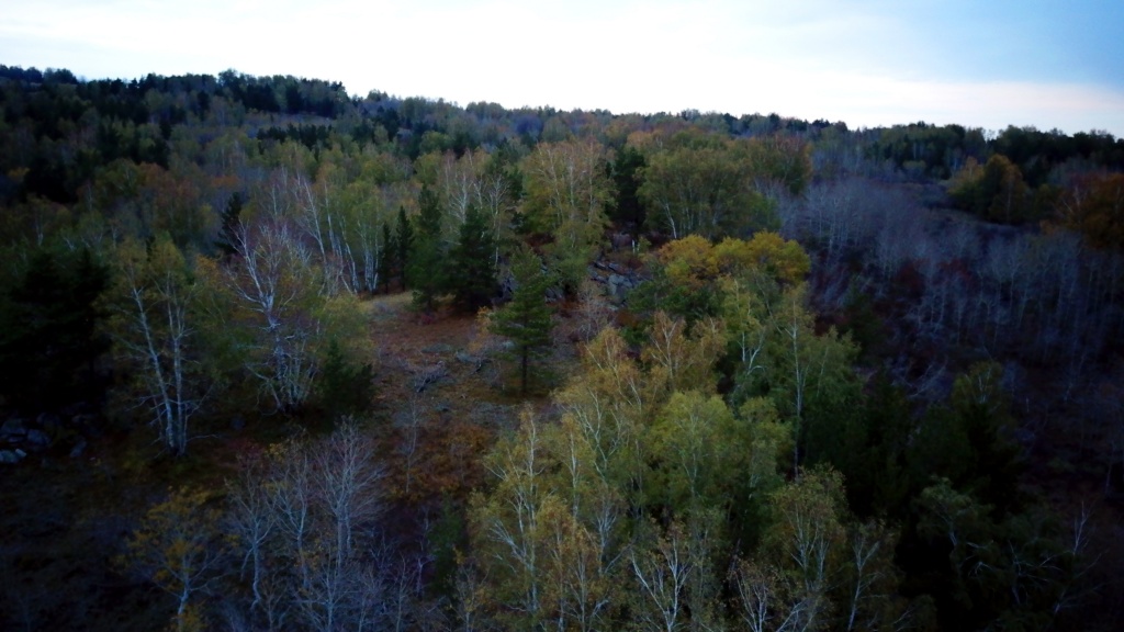 DJI_0109.jpg