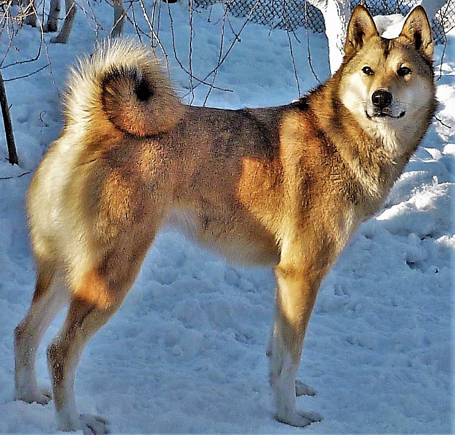 Юрмала Дара 2012г..jpg