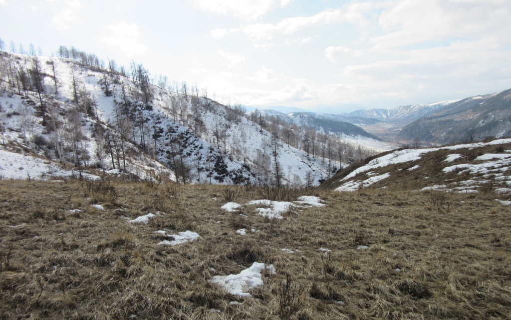 Слукин А (1).JPG