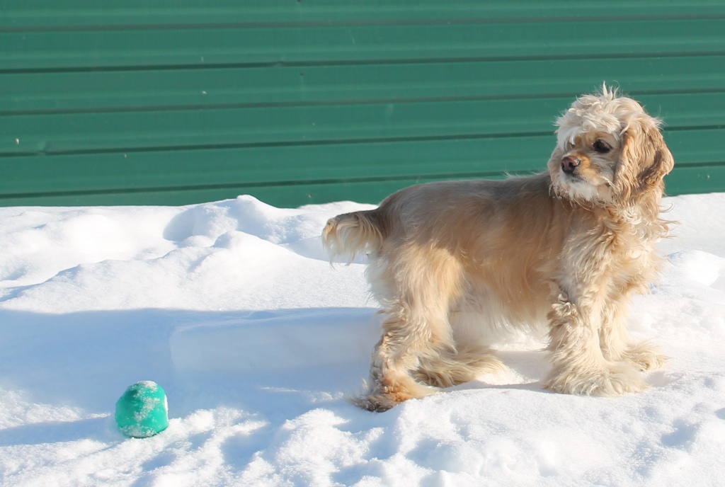 Изображение 032.jpg