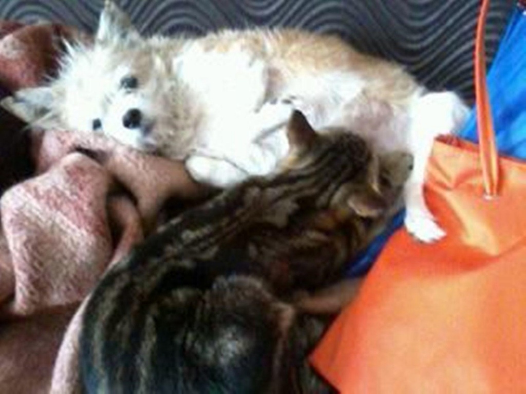 Надежда Нарожнолва 4.jpg