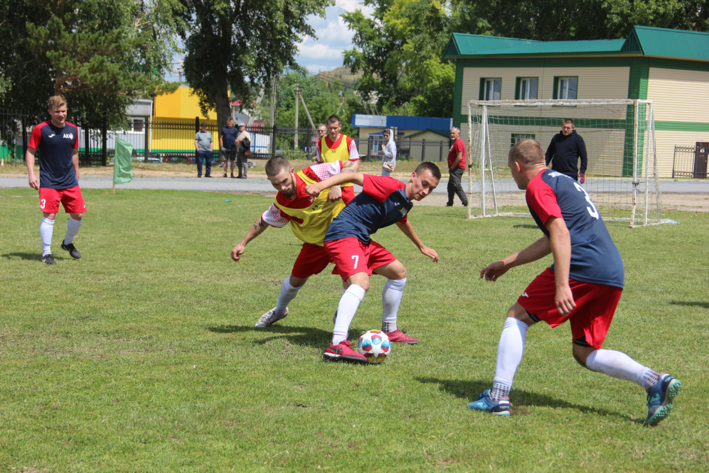 IMG_6146.jpg