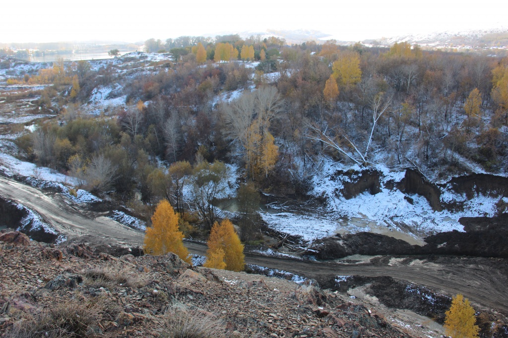 IMG_5135.JPG