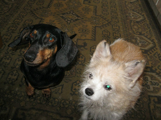 Надежда Нарожнова 3.jpg