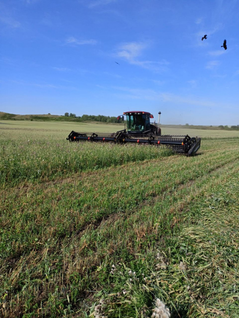 photo_2023-07-26_12-38-13 (2).jpg