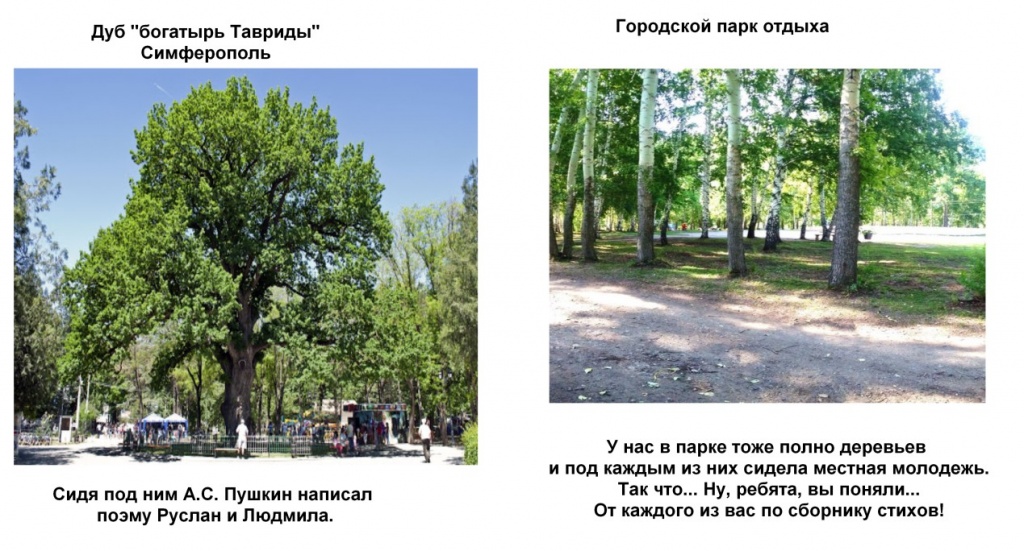 1.jpg 1.jpg