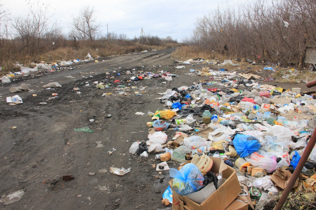 свалка городская.jpg свалка городская.jpg