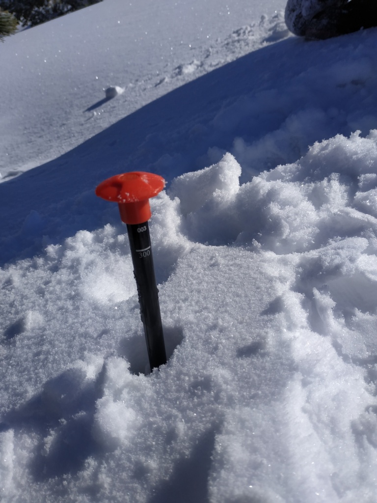 Фото Касуров Д (6).jpg