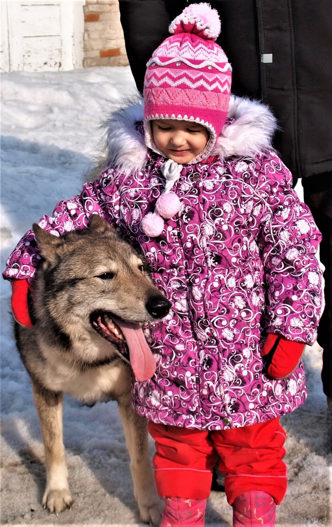 P2265007 хорош.jpg