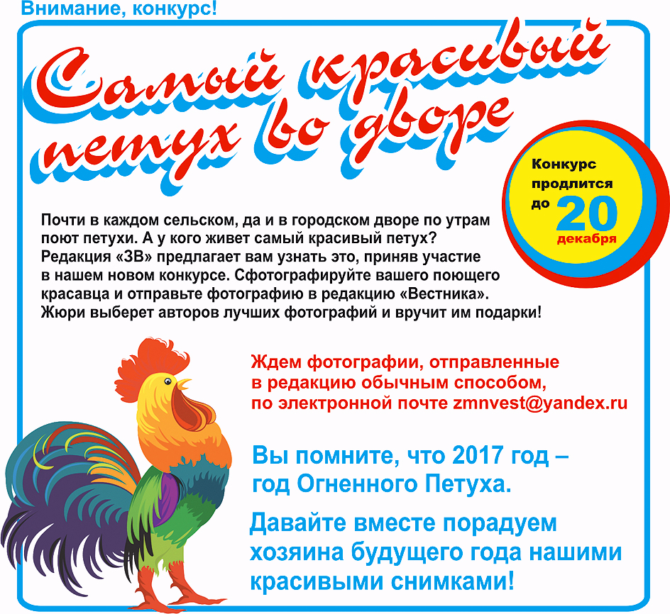 Без названия.png