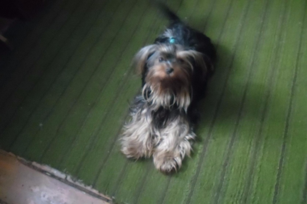 тимофей 2.jpg