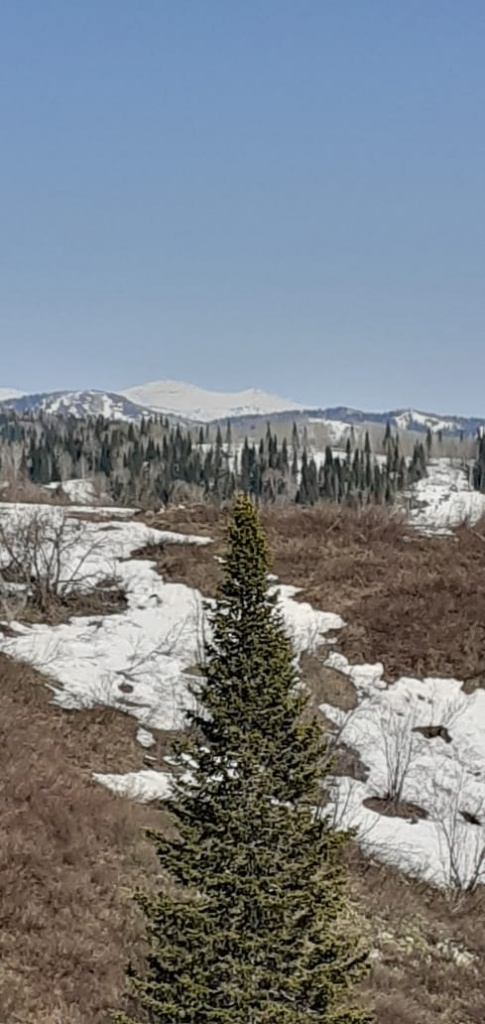 Снег Фото Н.Фёдоров.jpeg